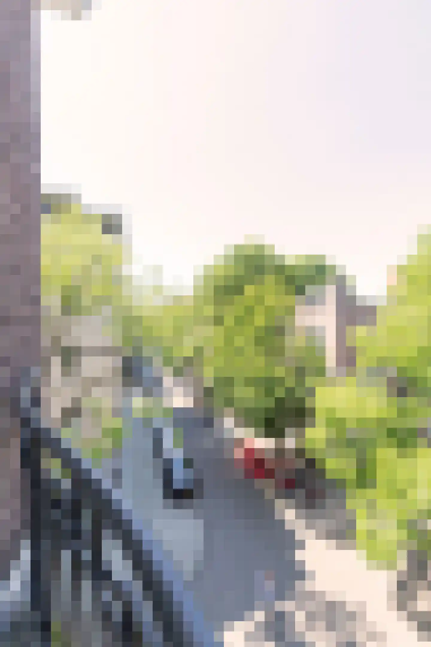 Nicolaas Maesstraat 109 2 Amsterdam thumbnail 46