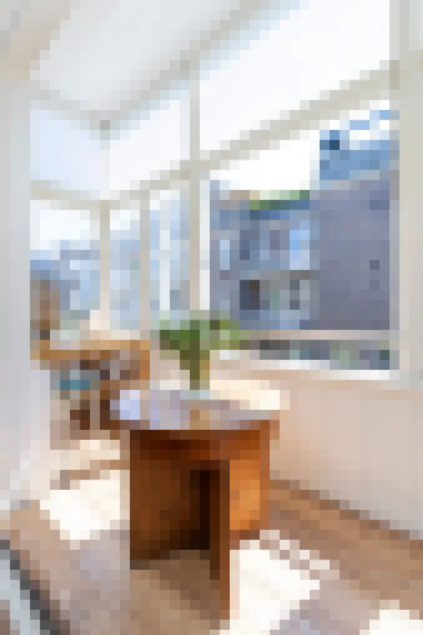 Nicolaas Maesstraat 109 H Amsterdam thumbnail 19