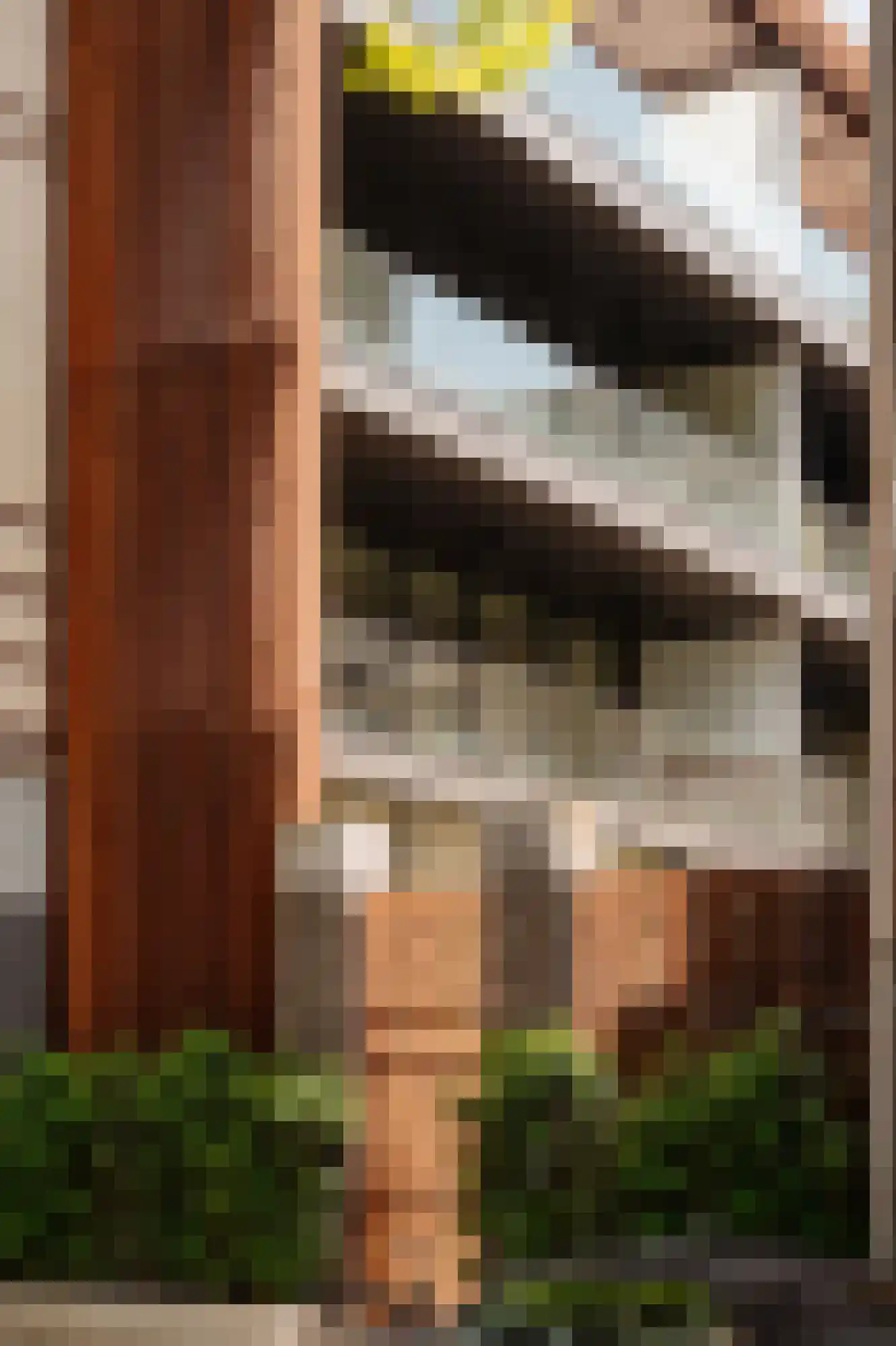 Nicolaas Maesstraat 111 D Amsterdam thumbnail 33