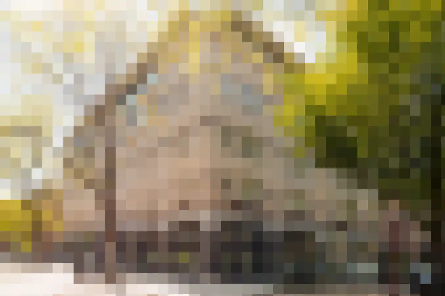 Nicolaas Maesstraat 111 D Amsterdam thumbnail 5