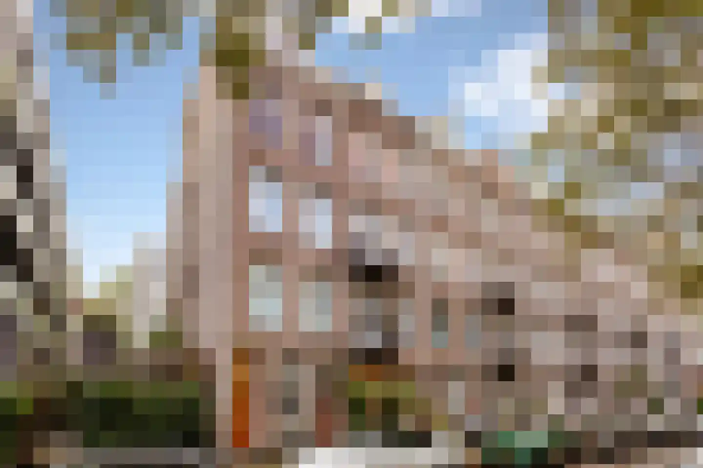 Nicolaas Maesstraat 113 3 Amsterdam