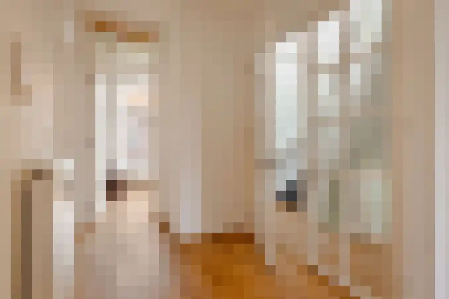 Nicolaas Maesstraat 113 3 Amsterdam thumbnail 18