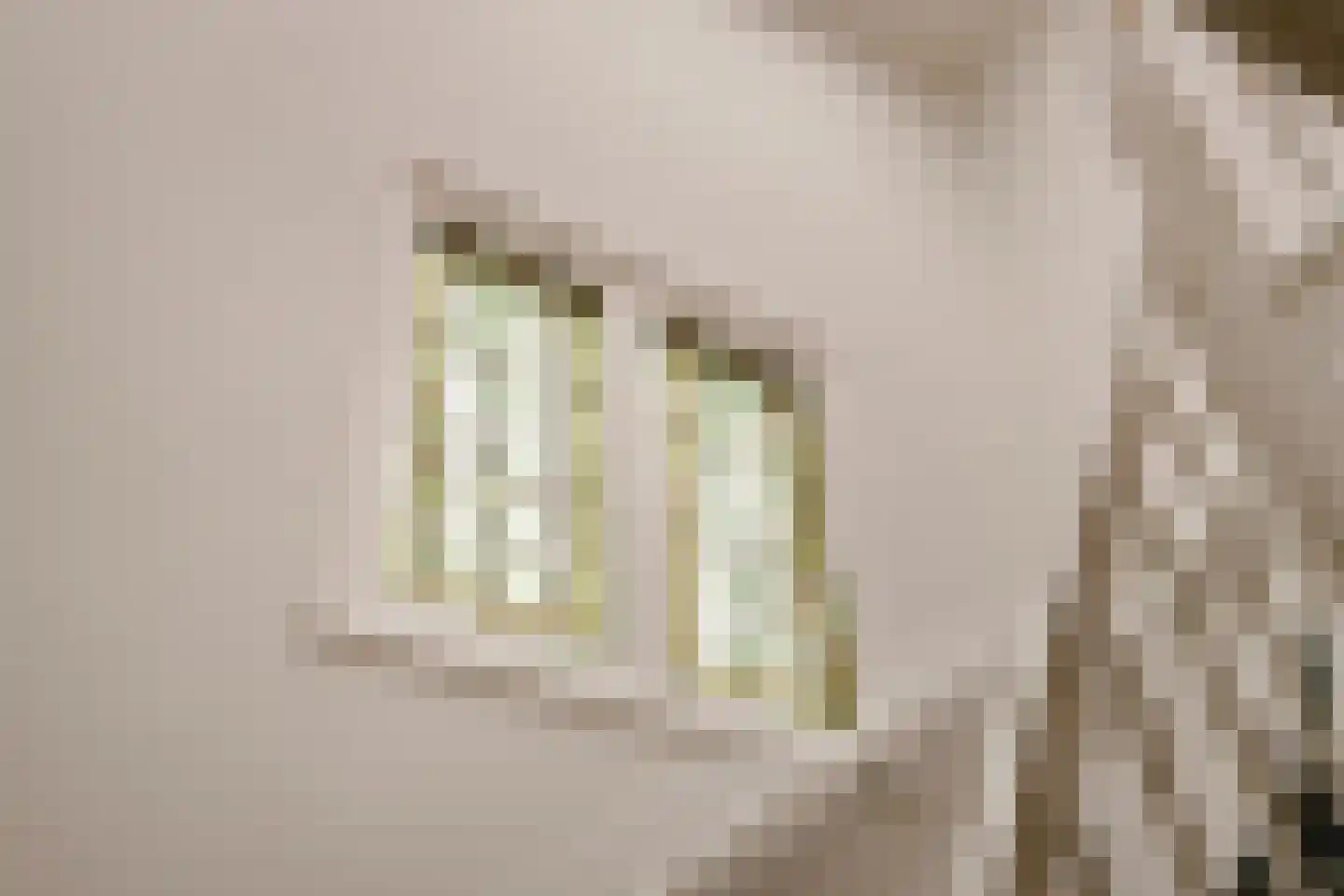 Nicolaas Maesstraat 113 3 Amsterdam thumbnail 22