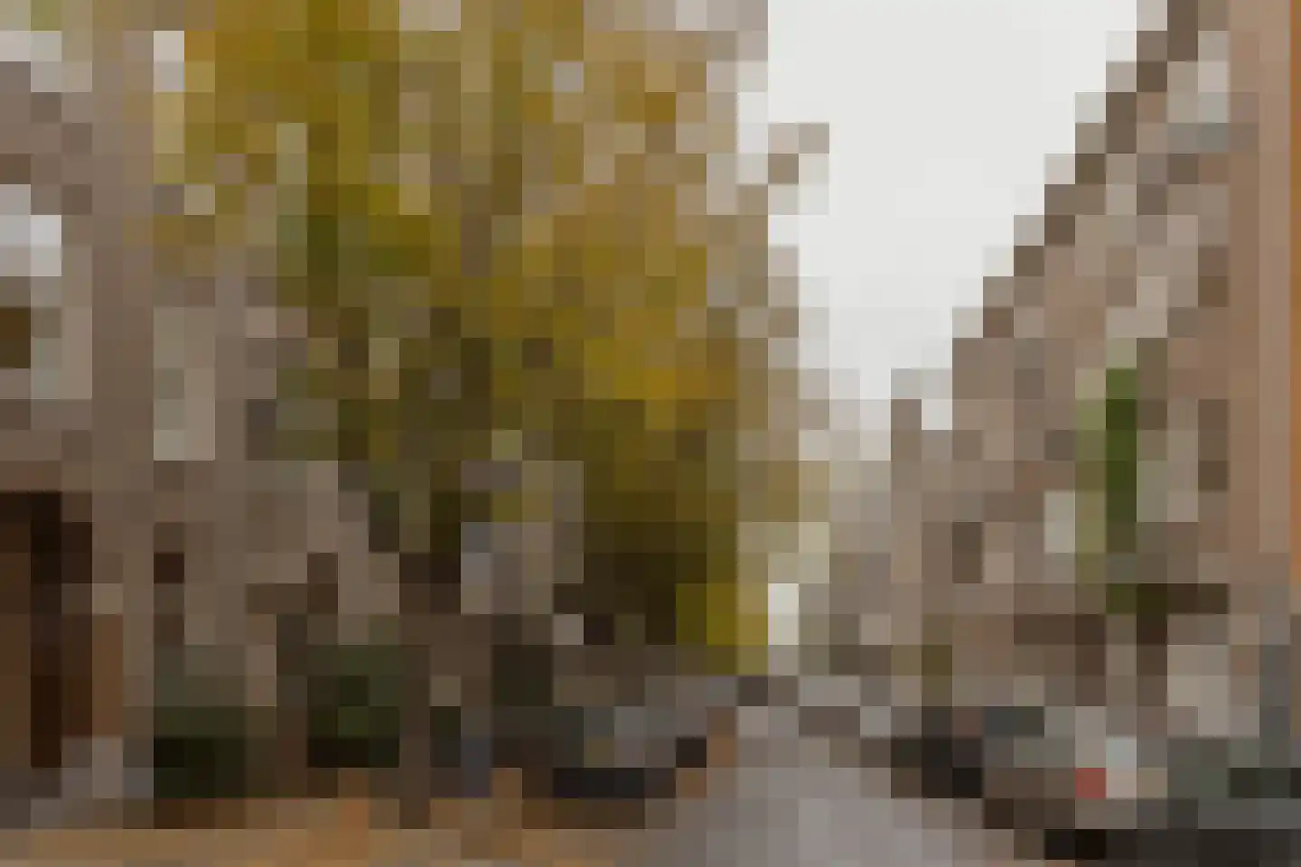 Nicolaas Maesstraat 122 2 Amsterdam thumbnail 33