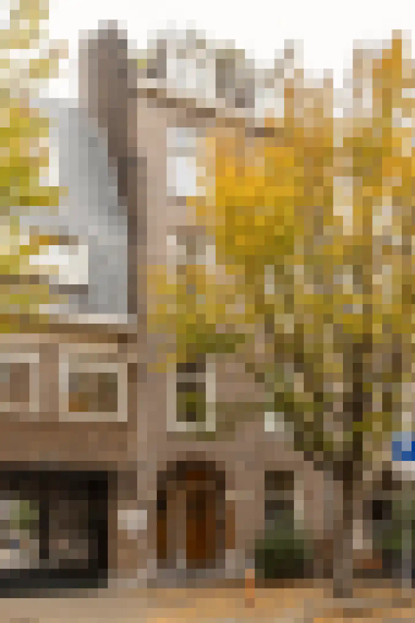 Nicolaas Maesstraat 122 3 Amsterdam thumbnail 31