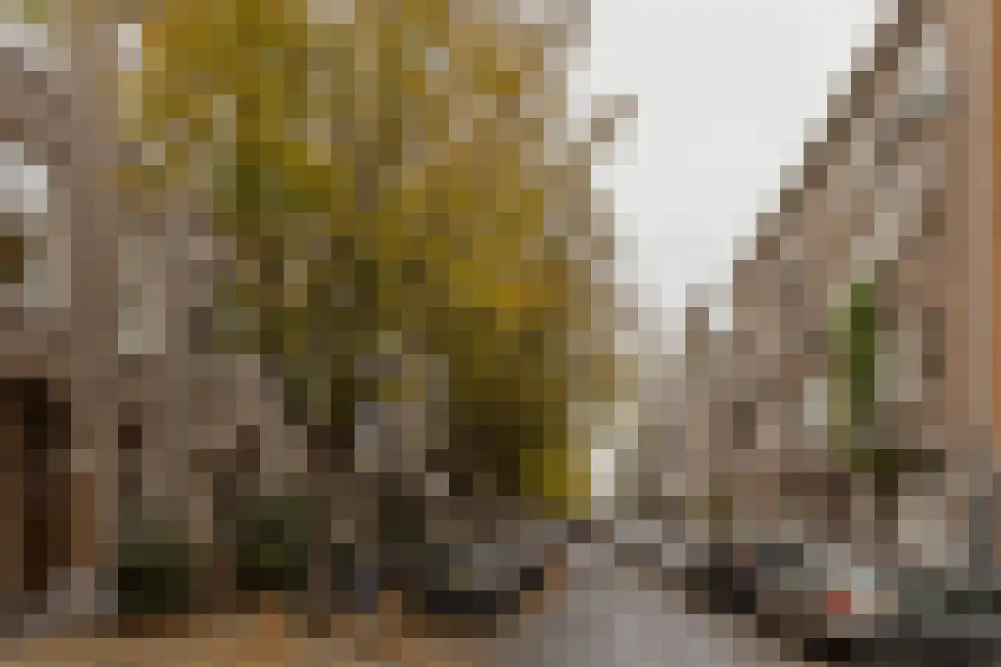 Nicolaas Maesstraat 122 3 Amsterdam thumbnail 33