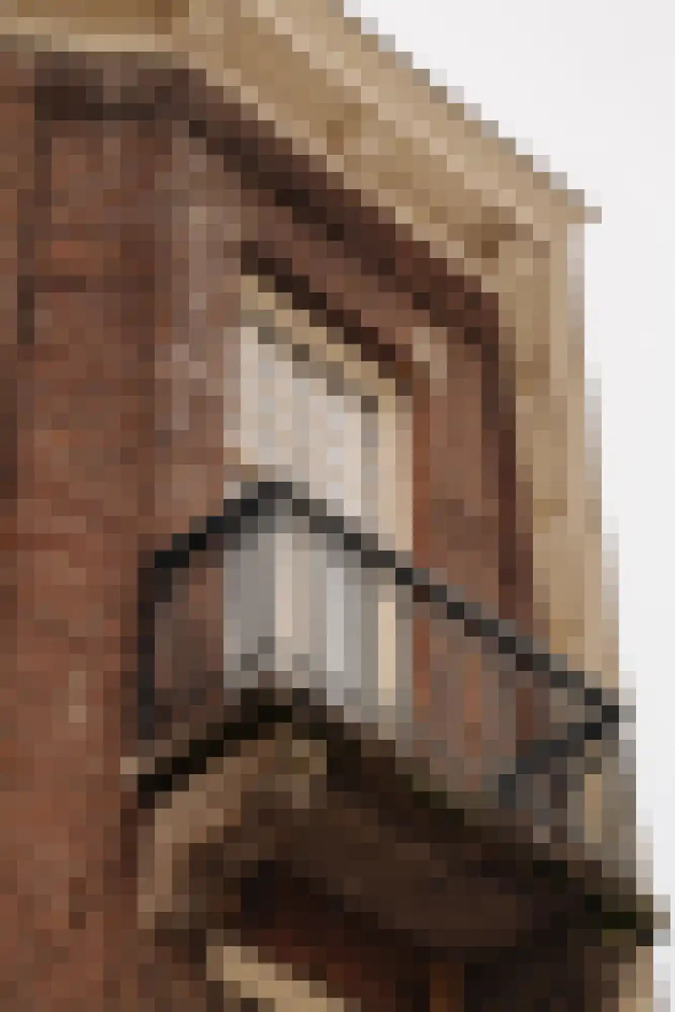 Nicolaas Maesstraat 20 2 Amsterdam thumbnail 34
