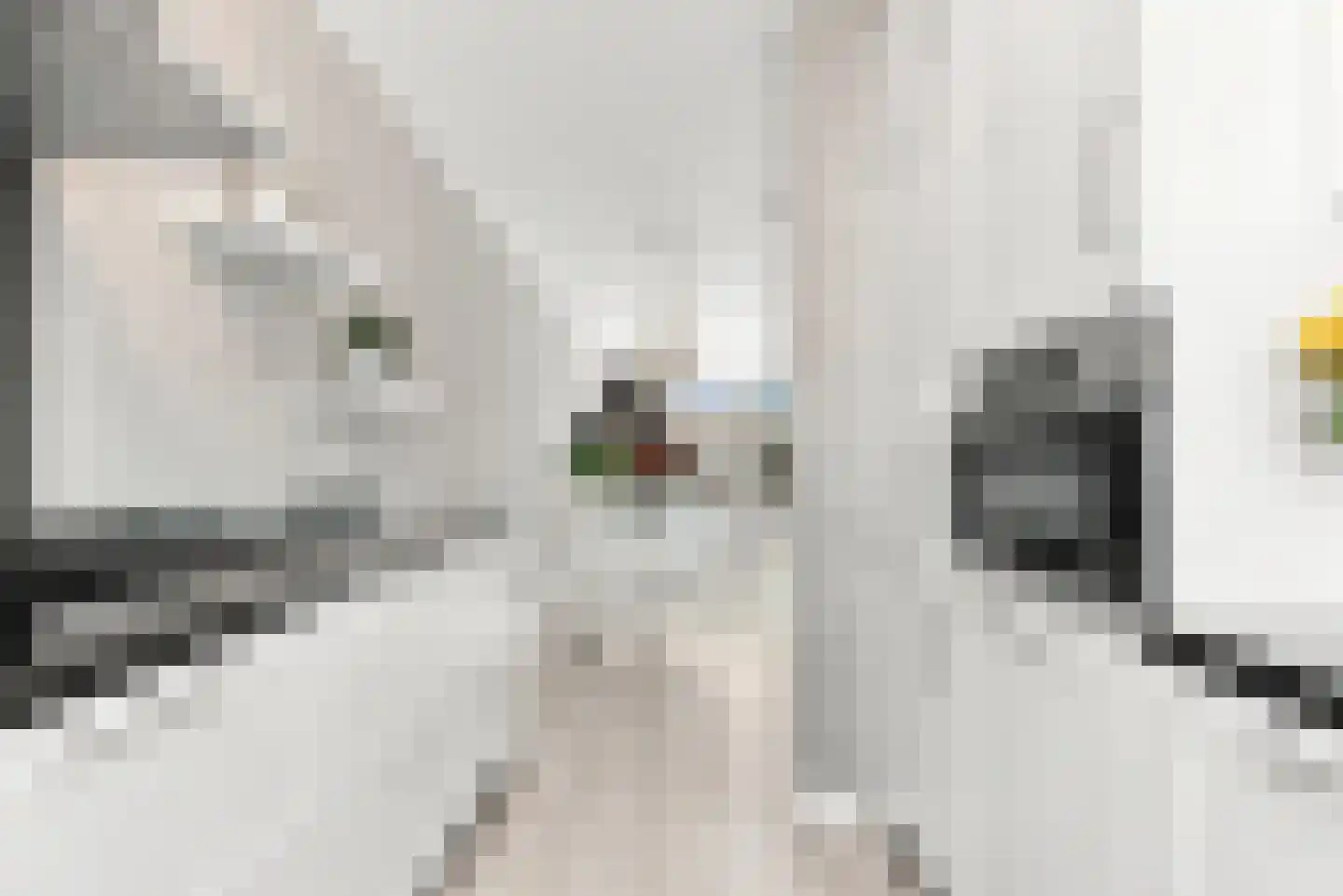 Nicolaas Maesstraat 22 Woerden thumbnail 17