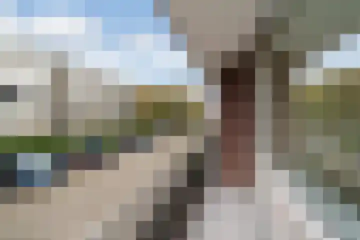 Nicolaas Maesstraat 24 Maarssen thumbnail 10