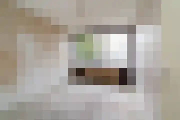 Nicolaas Maesstraat 24 Maarssen thumbnail 15