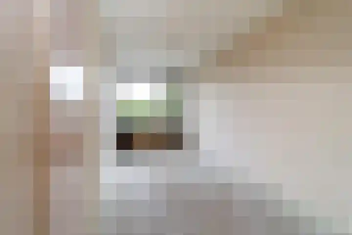 Nicolaas Maesstraat 24 Maarssen thumbnail 19