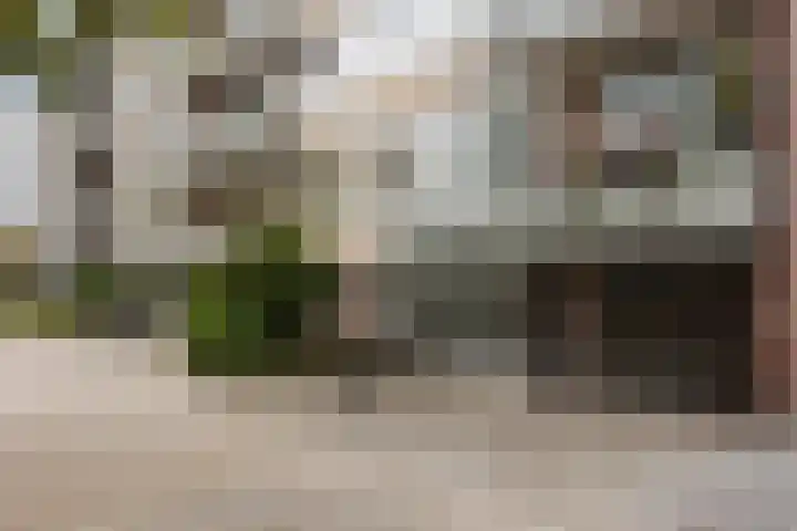 Nicolaas Maesstraat 24 Maarssen thumbnail 22