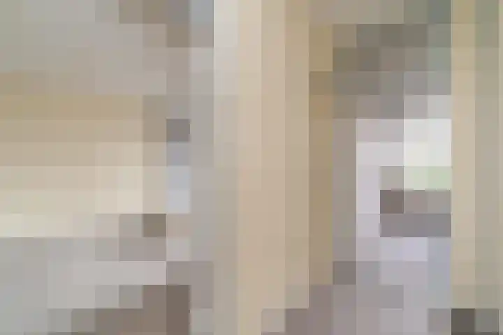 Nicolaas Maesstraat 24 Maarssen thumbnail 4