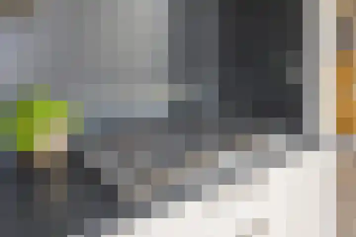 Nicolaas Maesstraat 25 Woerden thumbnail 13