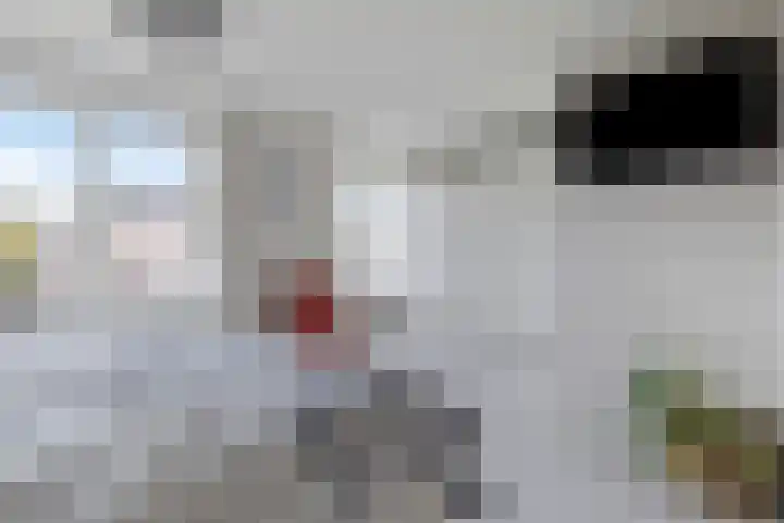 Nicolaas Maesstraat 25 Woerden thumbnail 17