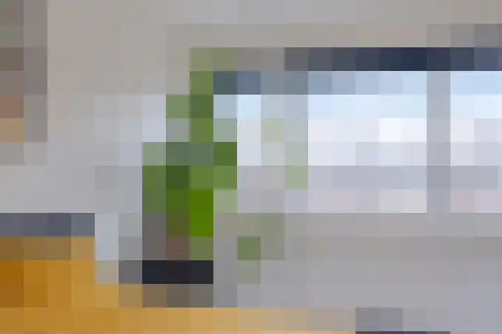 Nicolaas Maesstraat 25 Woerden thumbnail 23
