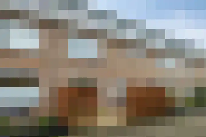 Nicolaas Maesstraat 25 Woerden thumbnail 5