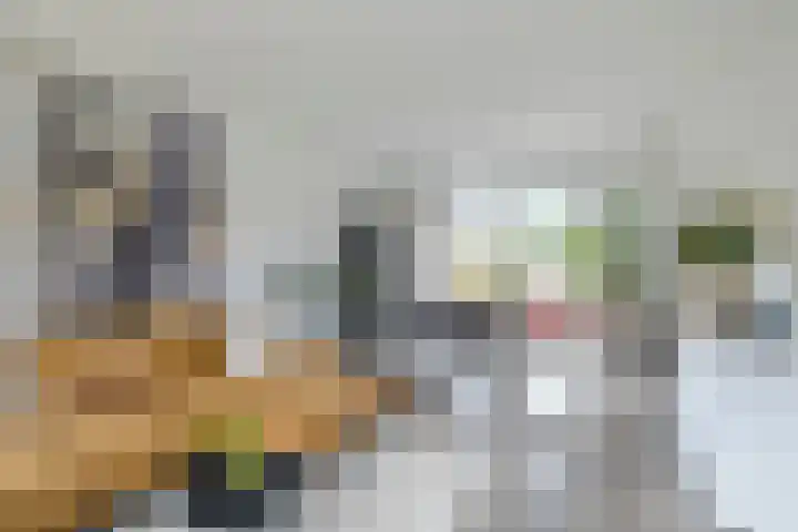 Nicolaas Maesstraat 25 Woerden thumbnail 8