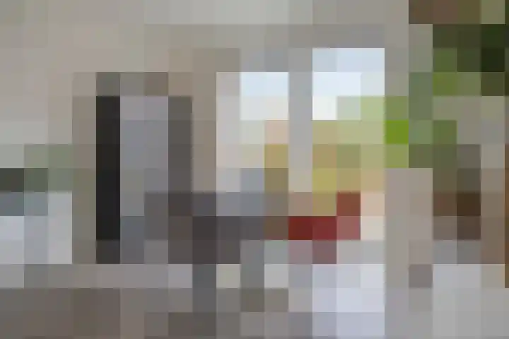 Nicolaas Maesstraat 25 Woerden thumbnail 9
