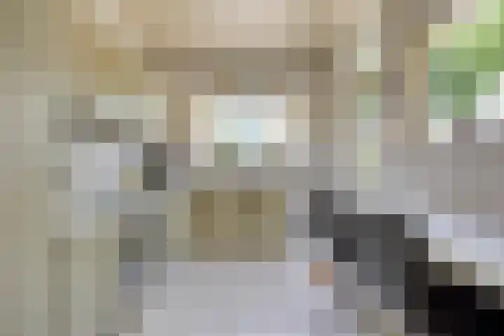 Nicolaas Maesstraat 27 Maarssen thumbnail 14