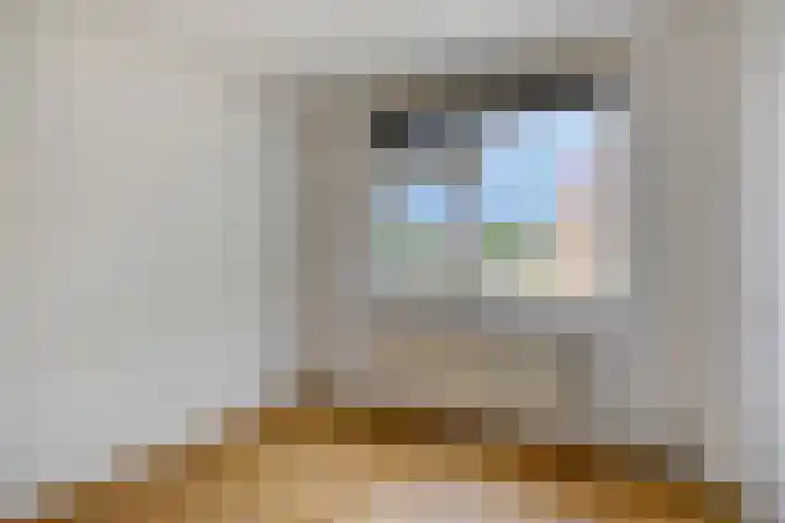 Nicolaas Maesstraat 27 Maarssen thumbnail 19