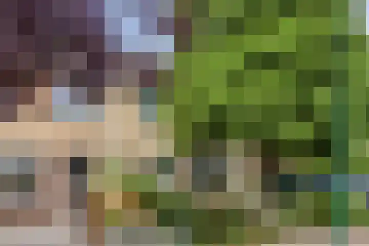 Nicolaas Maesstraat 27 Maarssen thumbnail 4