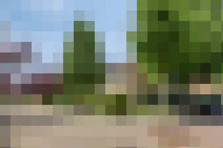 Nicolaas Maesstraat 27 Maarssen thumbnail 5