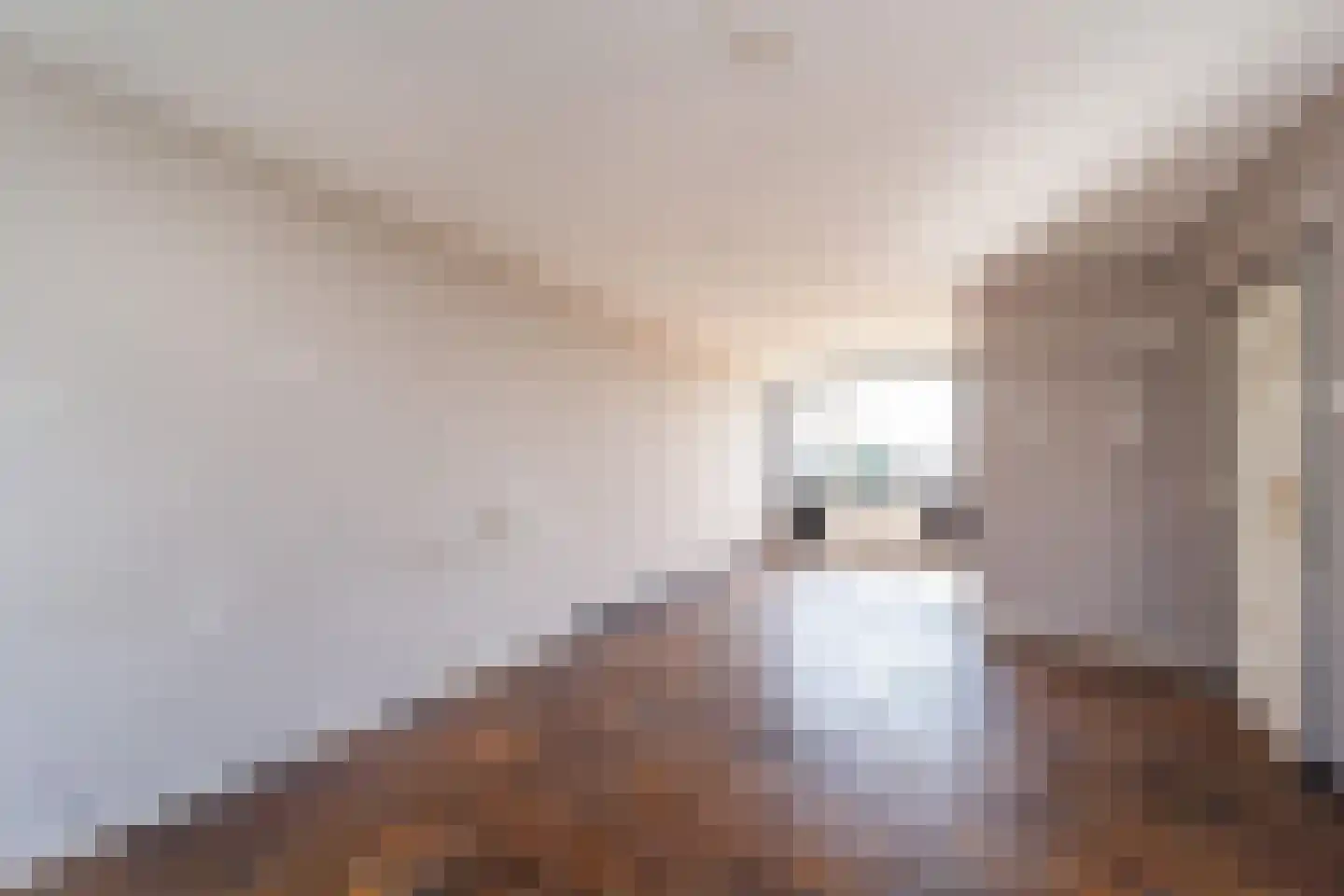 Nicolaas Maesstraat 28 Maarssen thumbnail 11