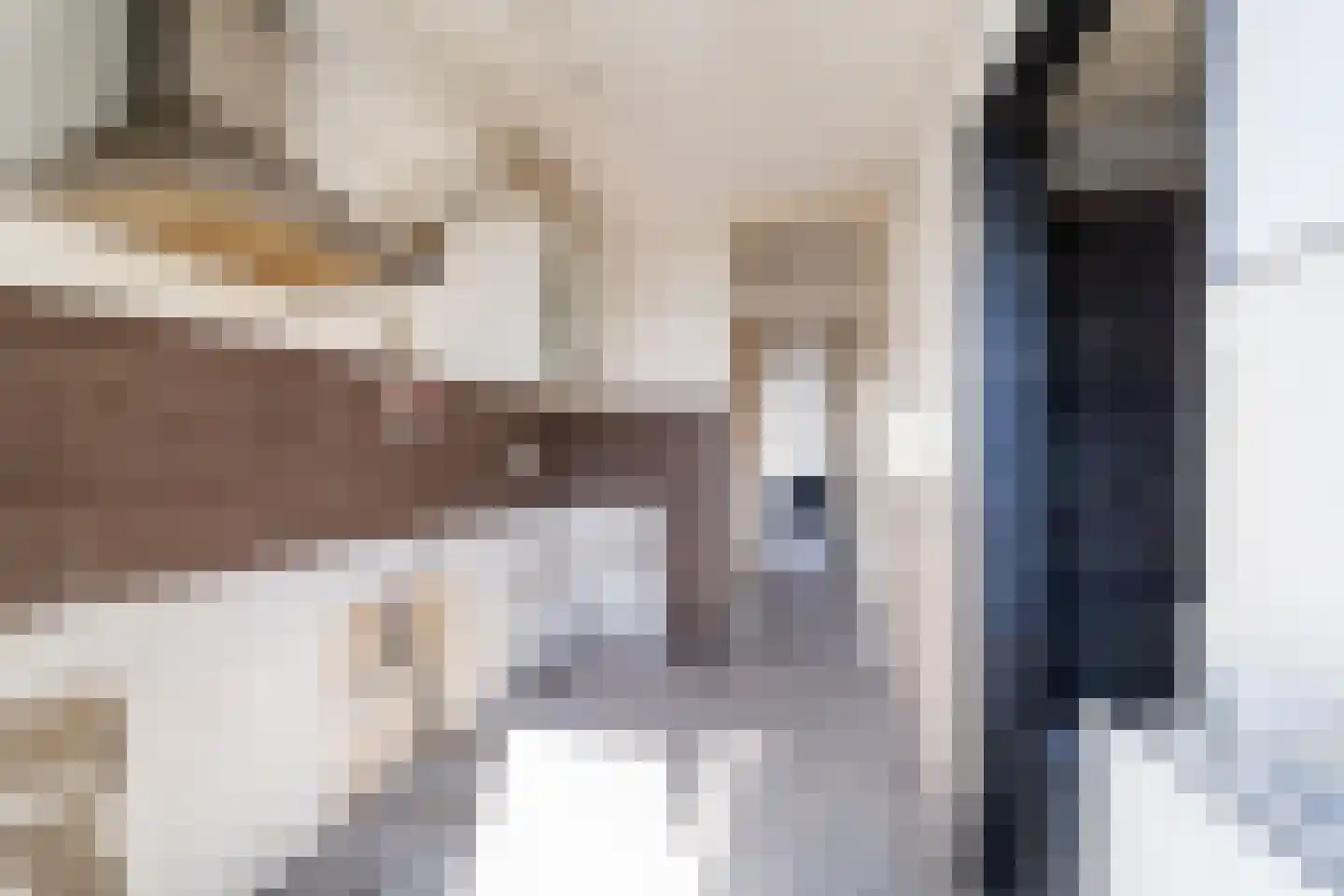 Nicolaas Maesstraat 28 Maarssen thumbnail 17