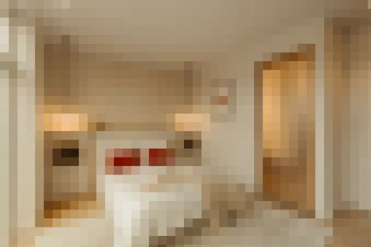 Nicolaas Maesstraat 38 4 Amsterdam thumbnail 27