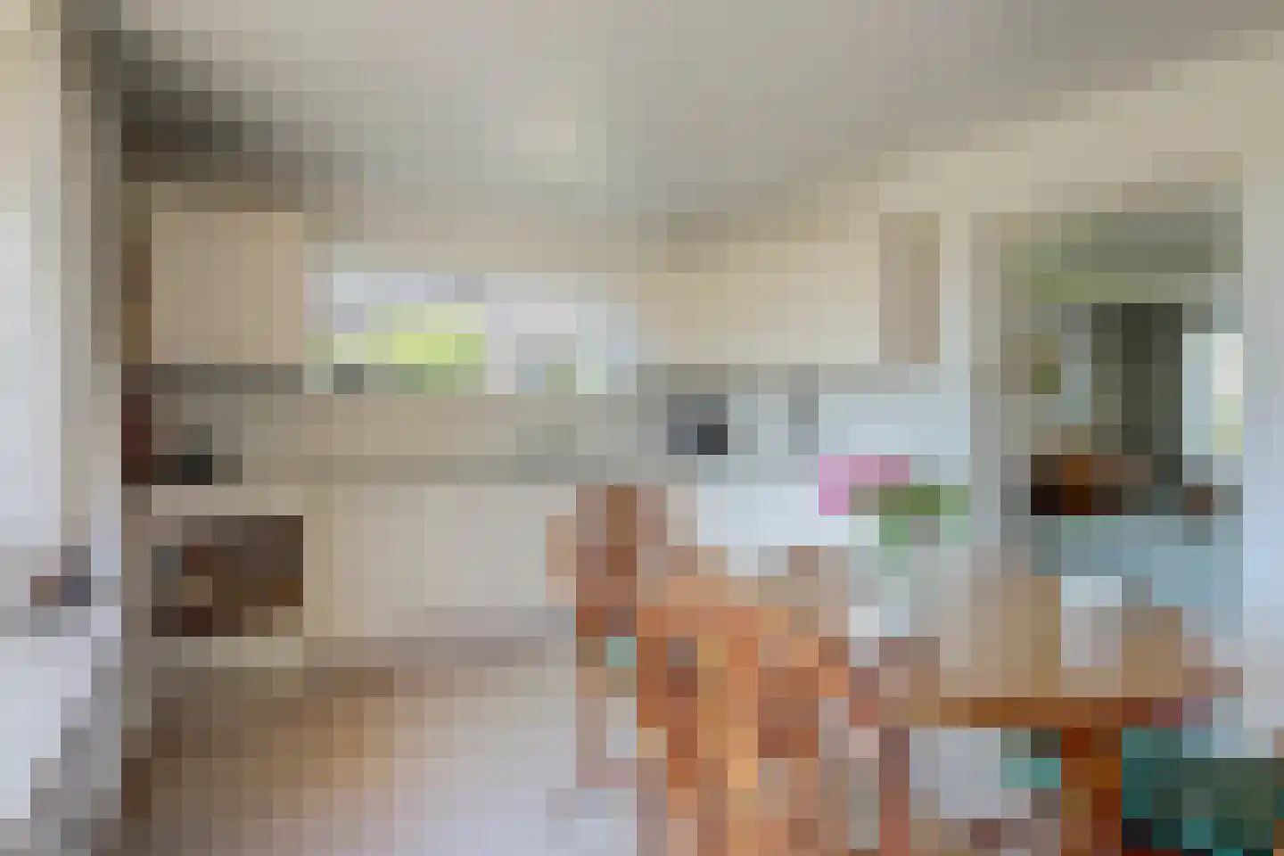 Nicolaas Maesstraat 39 Twello thumbnail 18