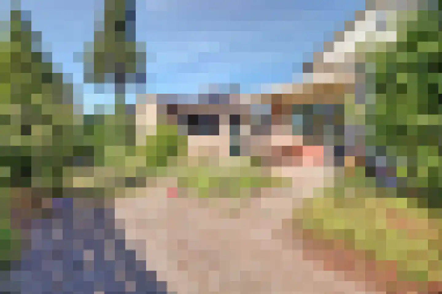 Nicolaas Maesstraat 39 Twello thumbnail 39