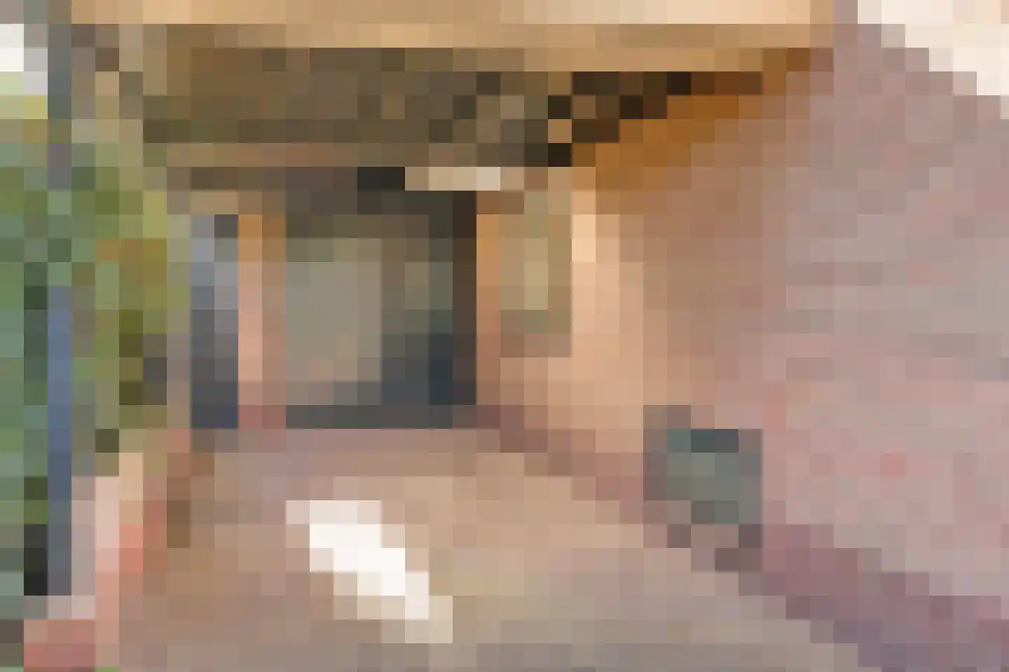 Nicolaas Maesstraat 39 Twello thumbnail 6