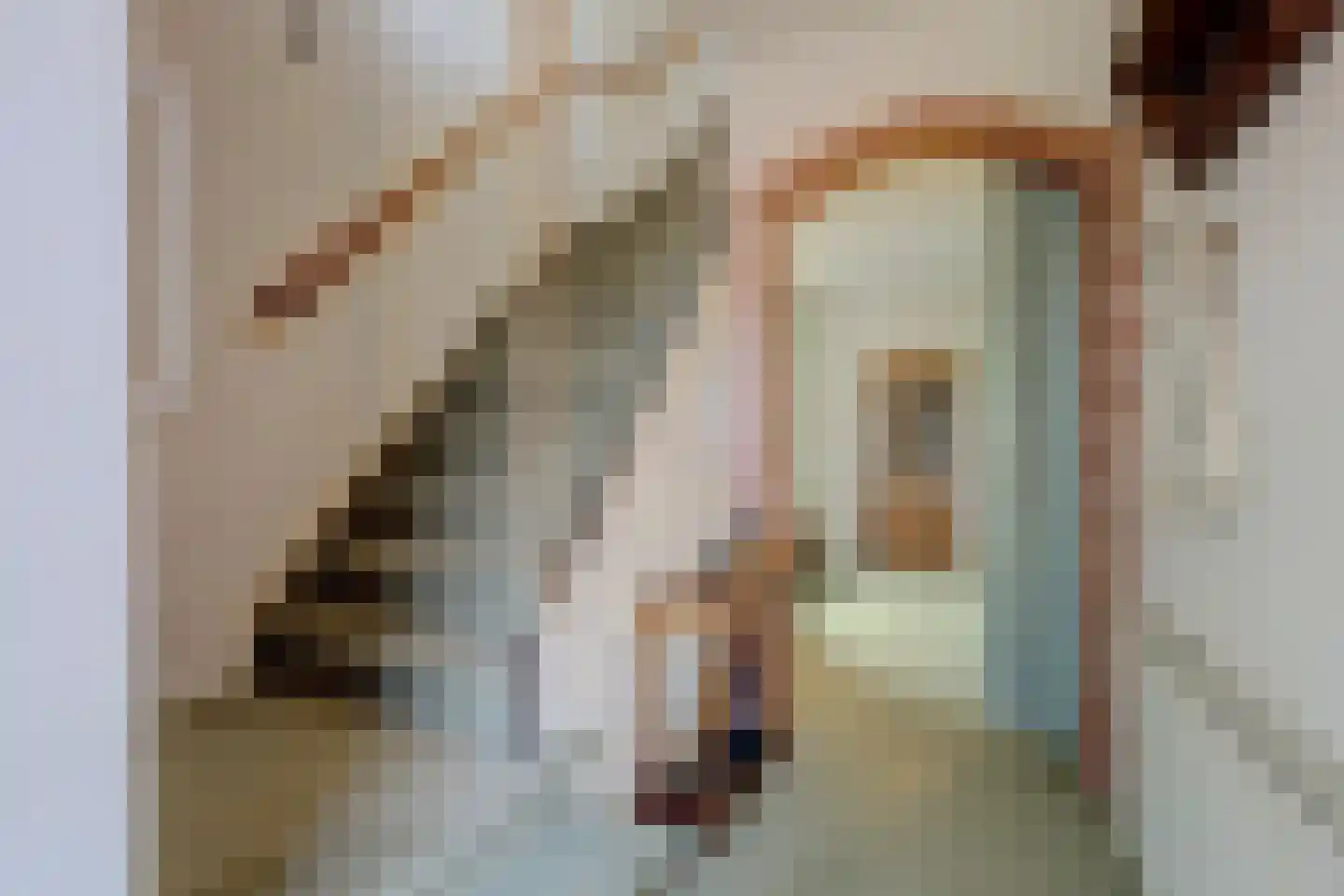 Nicolaas Maesstraat 39 Twello thumbnail 8