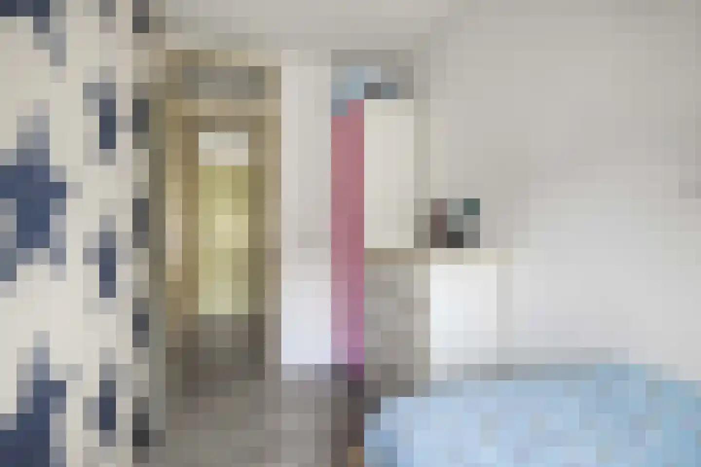 Nicolaas Maesstraat 54 Ede thumbnail 20