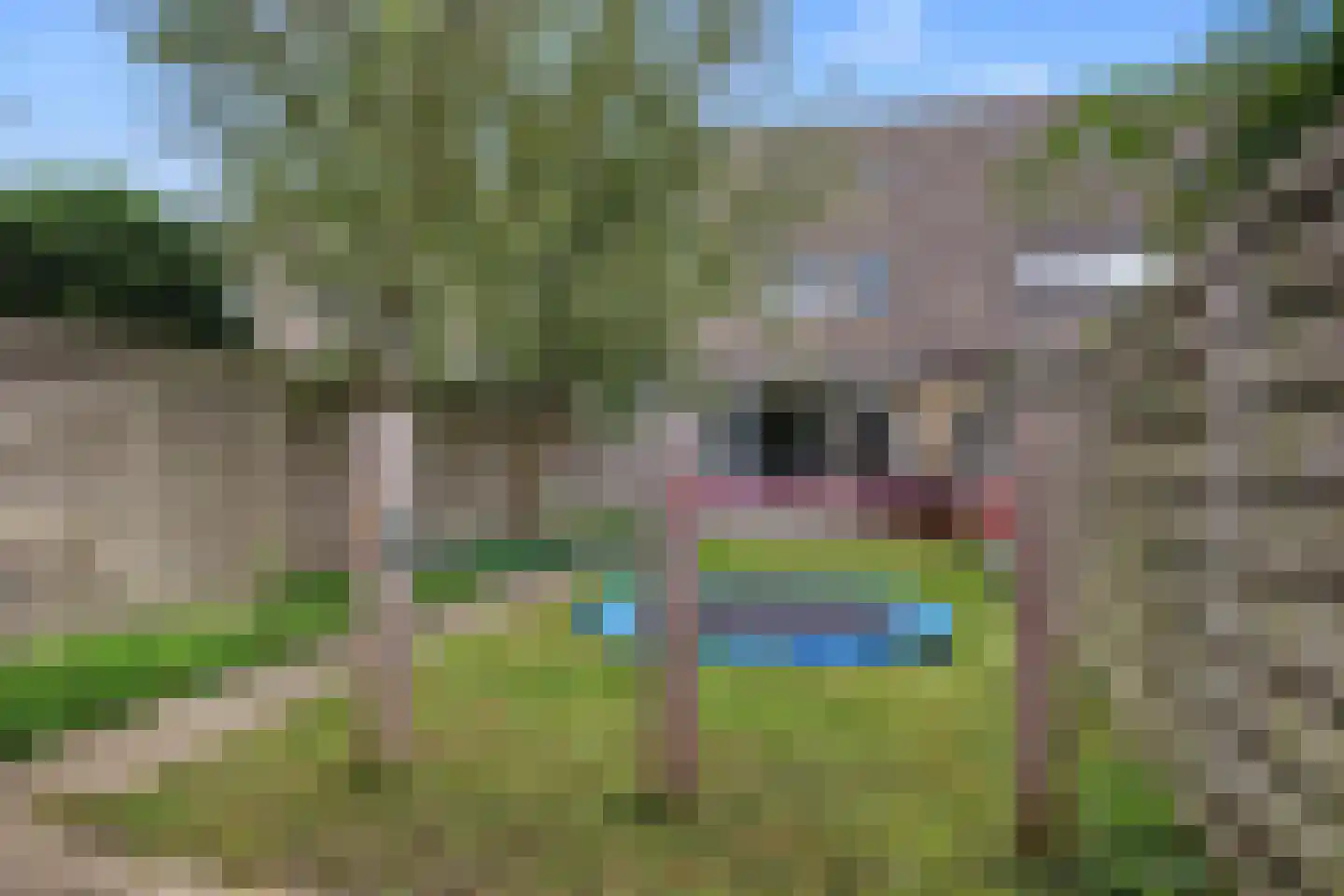 Nicolaas Maesstraat 54 Ede thumbnail 35