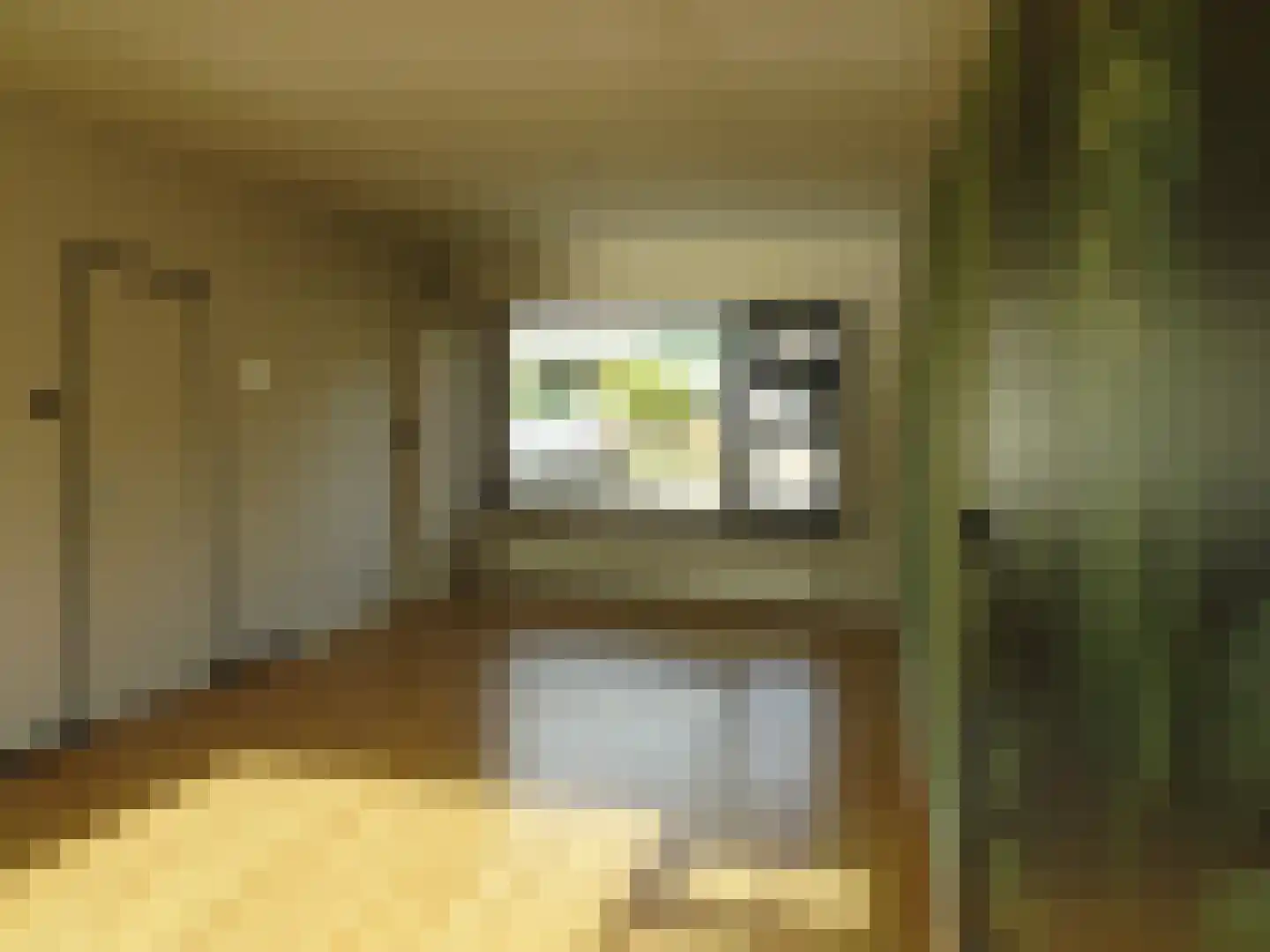 Nicolaas Maesstraat 6 Schagen thumbnail 11