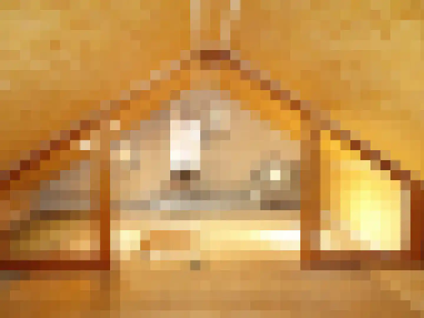 Nicolaas Maesstraat 6 Schagen thumbnail 19