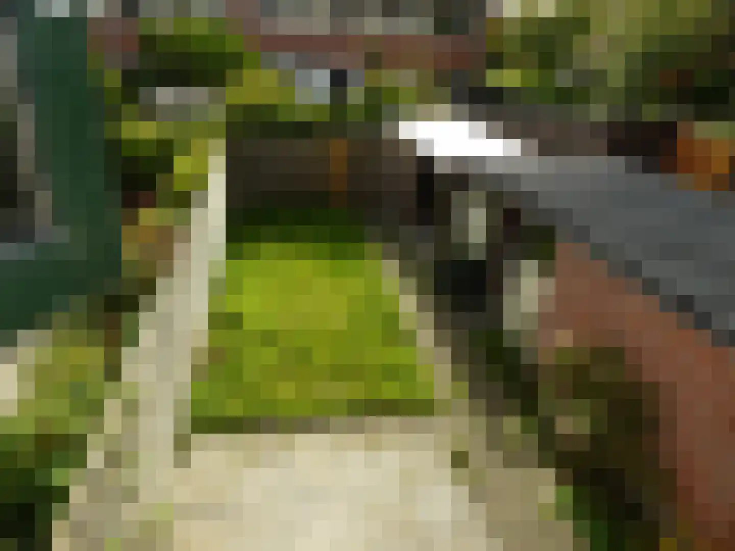 Nicolaas Maesstraat 6 Schagen thumbnail 6