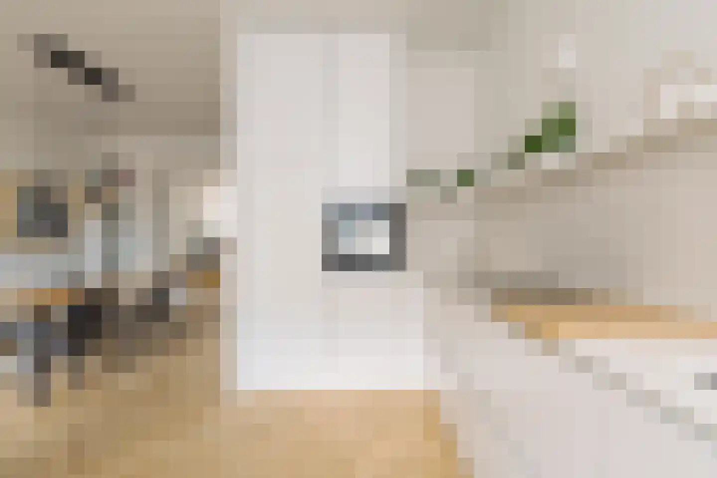 Nicolaas Maesstraat 60 2 Amsterdam thumbnail 14