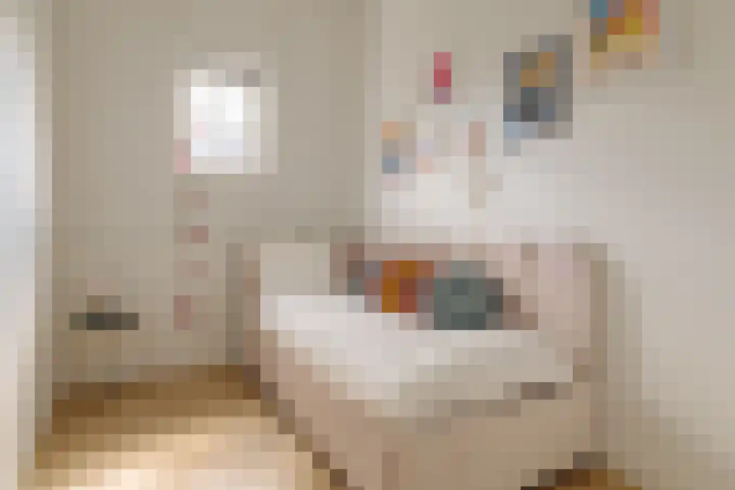 Nicolaas Maesstraat 60 2 Amsterdam thumbnail 30