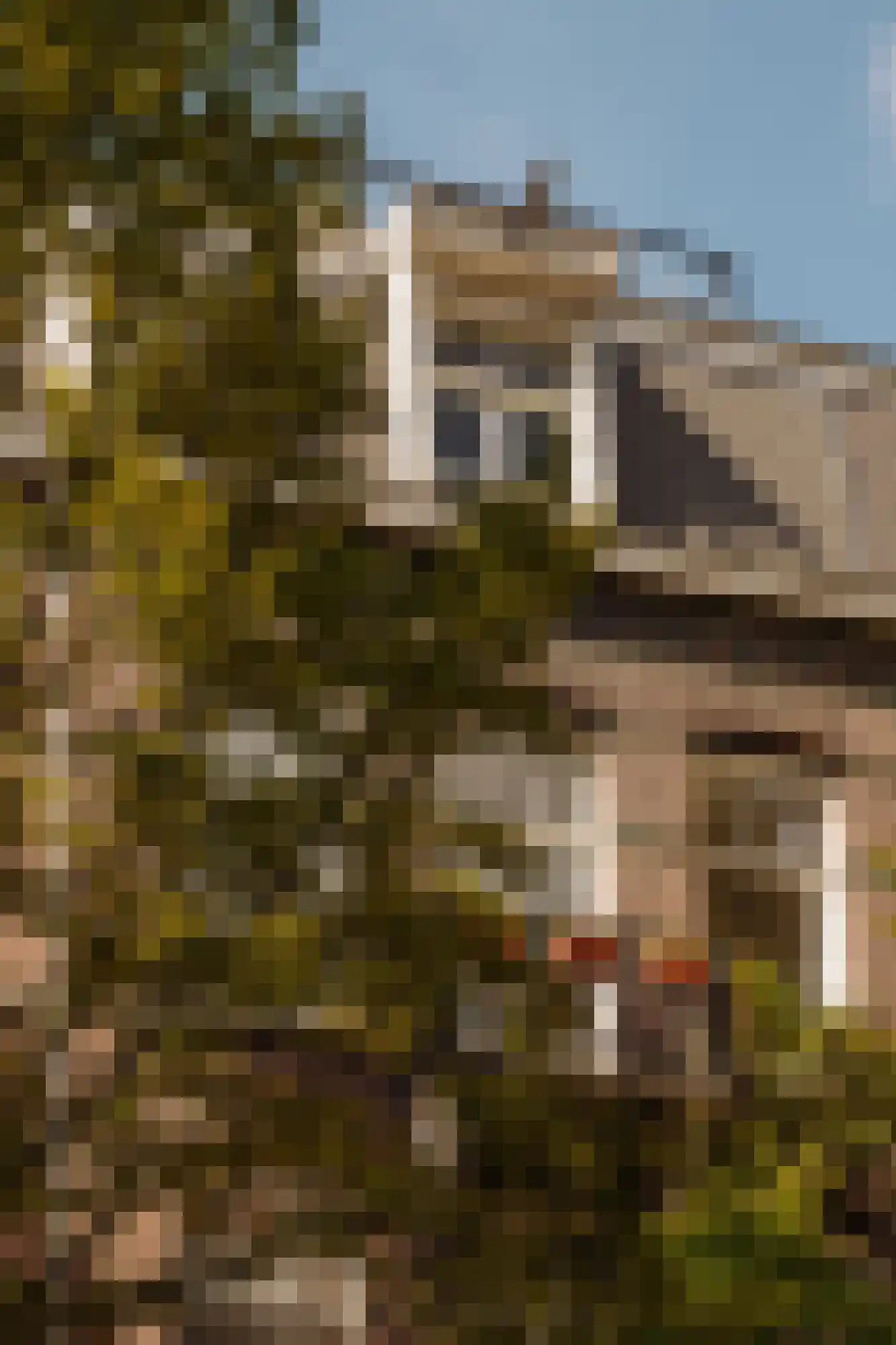 Nicolaas Maesstraat 60 2 Amsterdam thumbnail 39