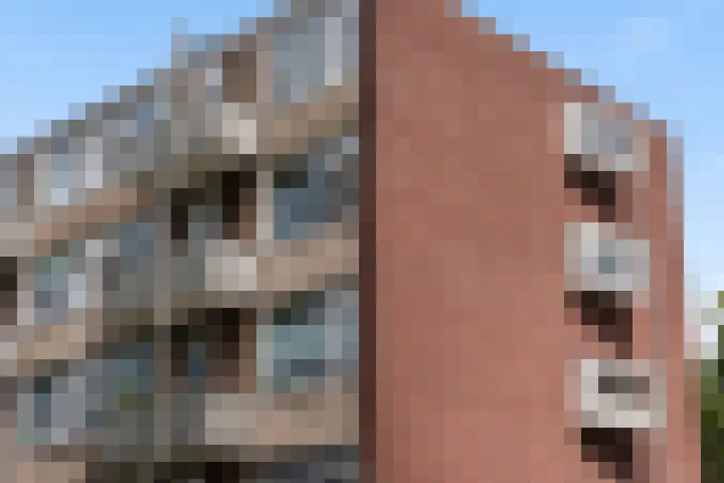Nicolaas Maesstraat 64 Maarssen thumbnail 23