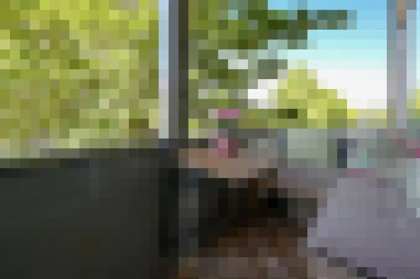 Nicolaas Maesstraat 78 Maarssen thumbnail 14