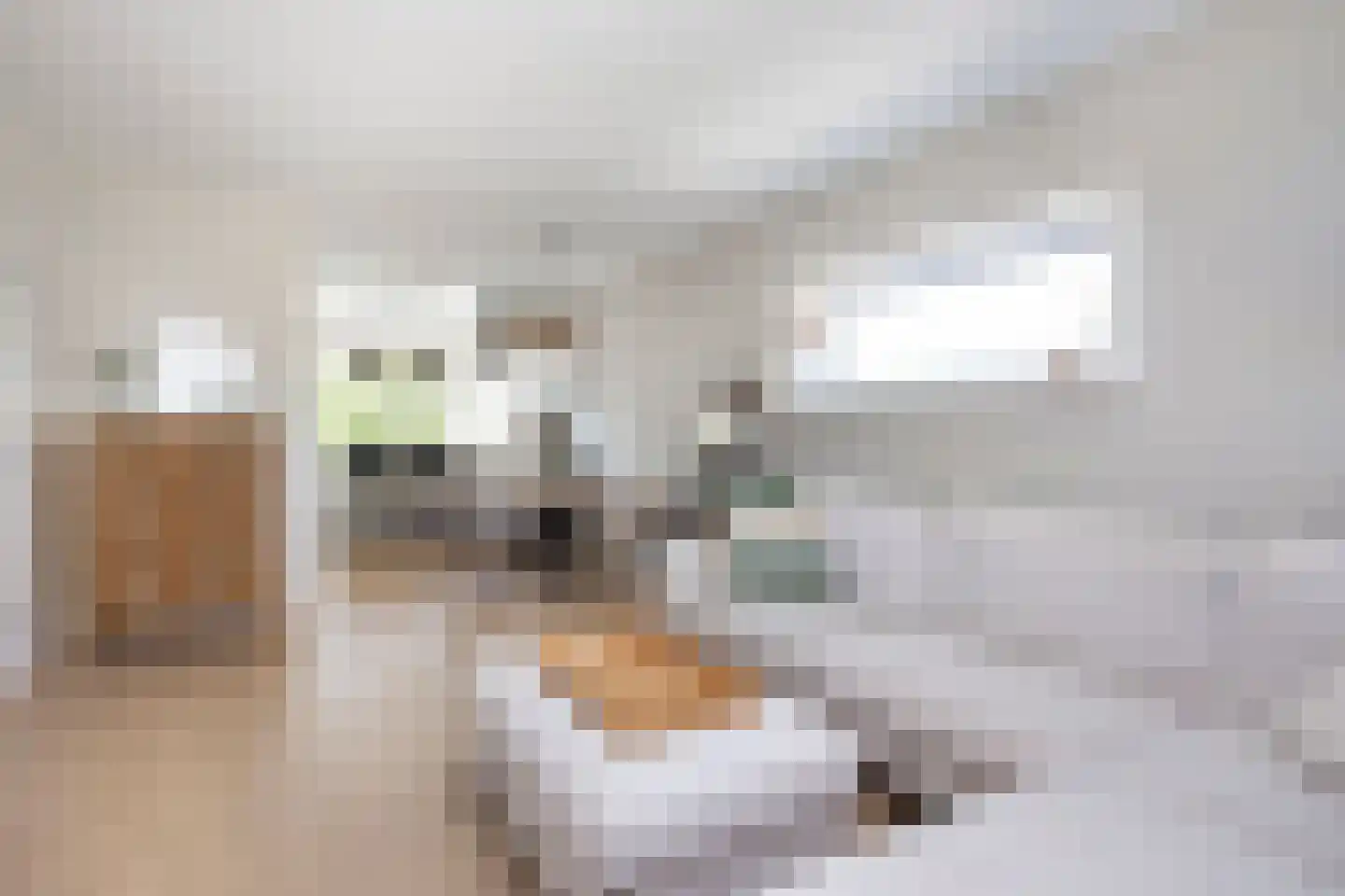 Nicolaas Maesstraat 86 Maarssen thumbnail 5