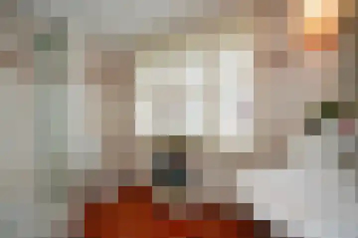 Nicolaas Maesstraat 9 Maarssen thumbnail 21
