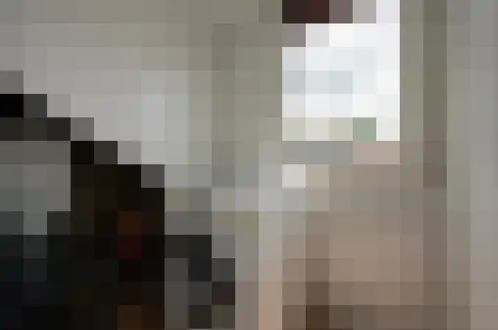 Nicolaas Maesstraat 9 Maarssen thumbnail 33