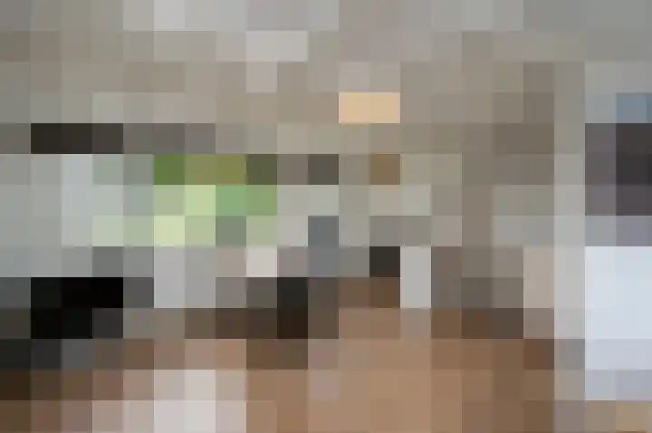 Nicolaas Maesstraat 9 Maarssen thumbnail 35