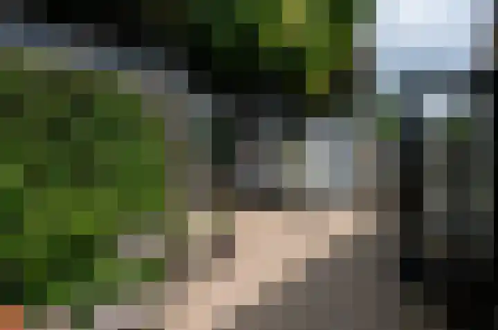 Nicolaas Maesstraat 9 Maarssen thumbnail 39
