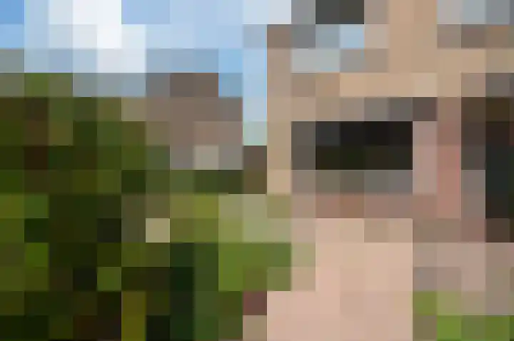 Nicolaas Maesstraat 9 Maarssen thumbnail 7